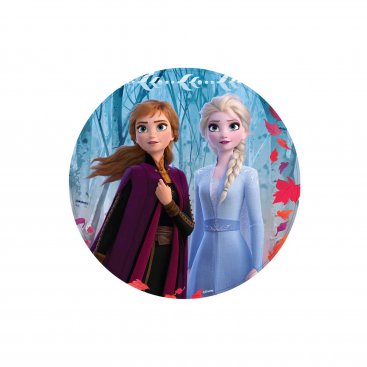 Disney Frozen 2 Party Supplies | Lilybee's PartyBox