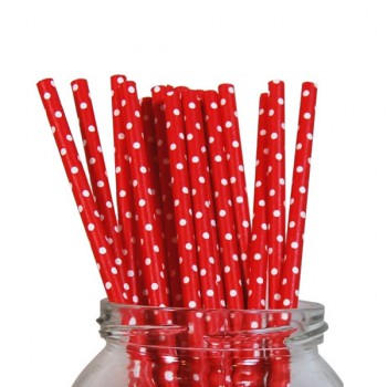 Paper Straw - Red Polka Dot - 20pack